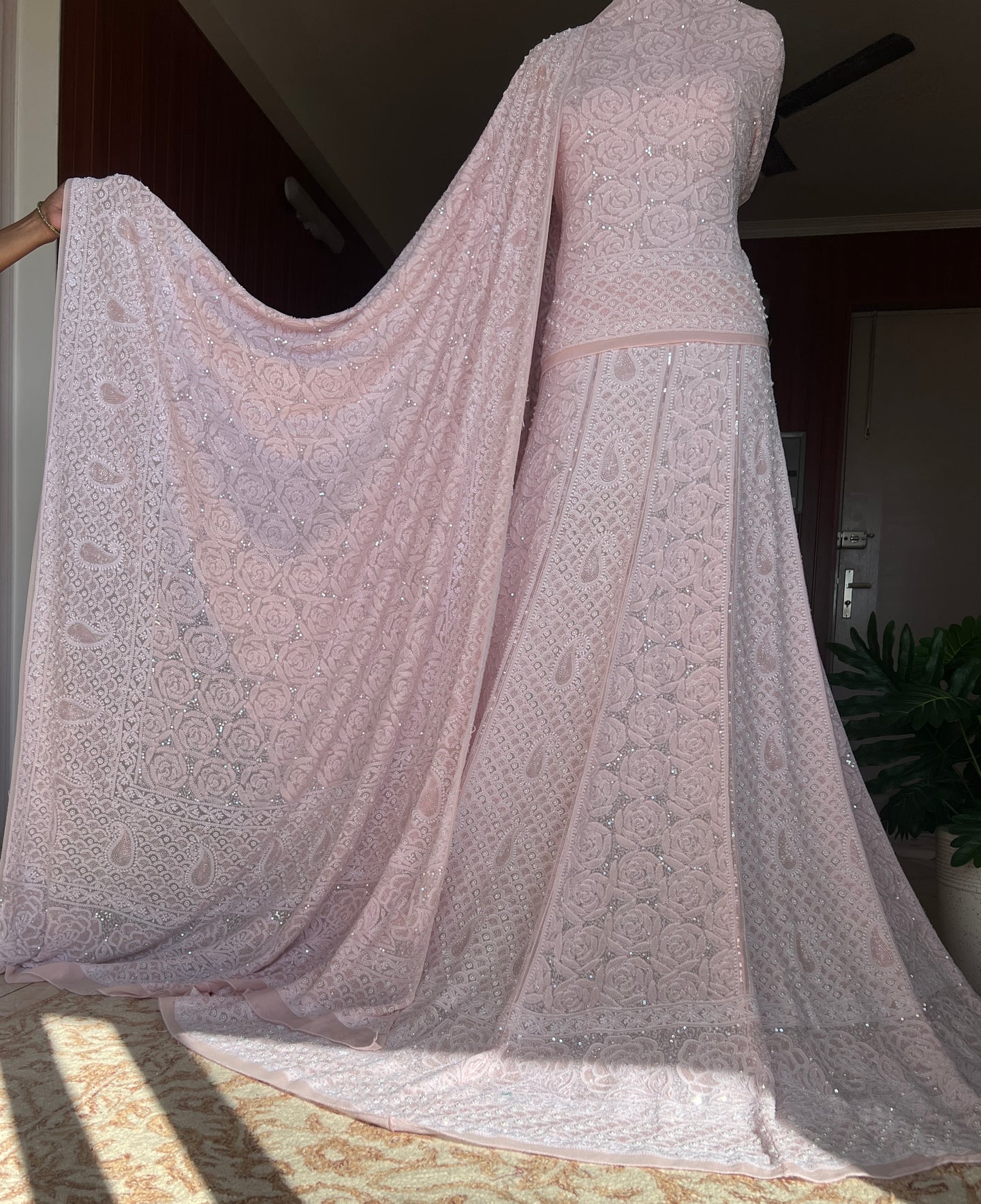 Ruhani Powder Pink Chikankari Pearl Cut Dana Sequins Wedding Lehenga